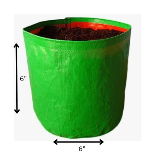6*6 Grow Bag