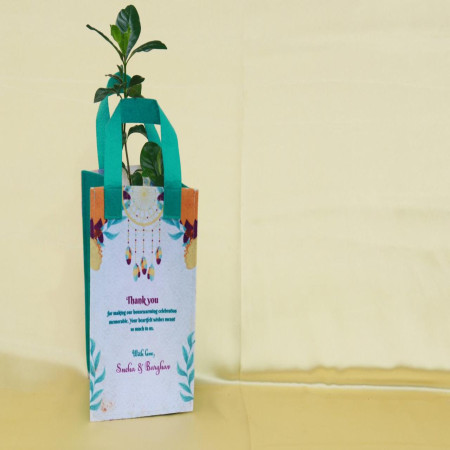 Sapling With Eco Friendly Customized Bag